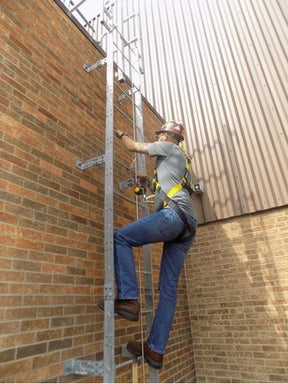 Roof Access Ladders